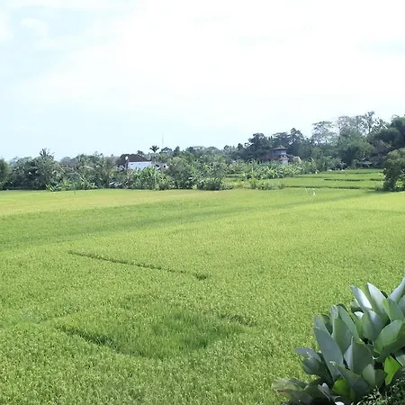 Heaven Villa Ubud Exterior photo