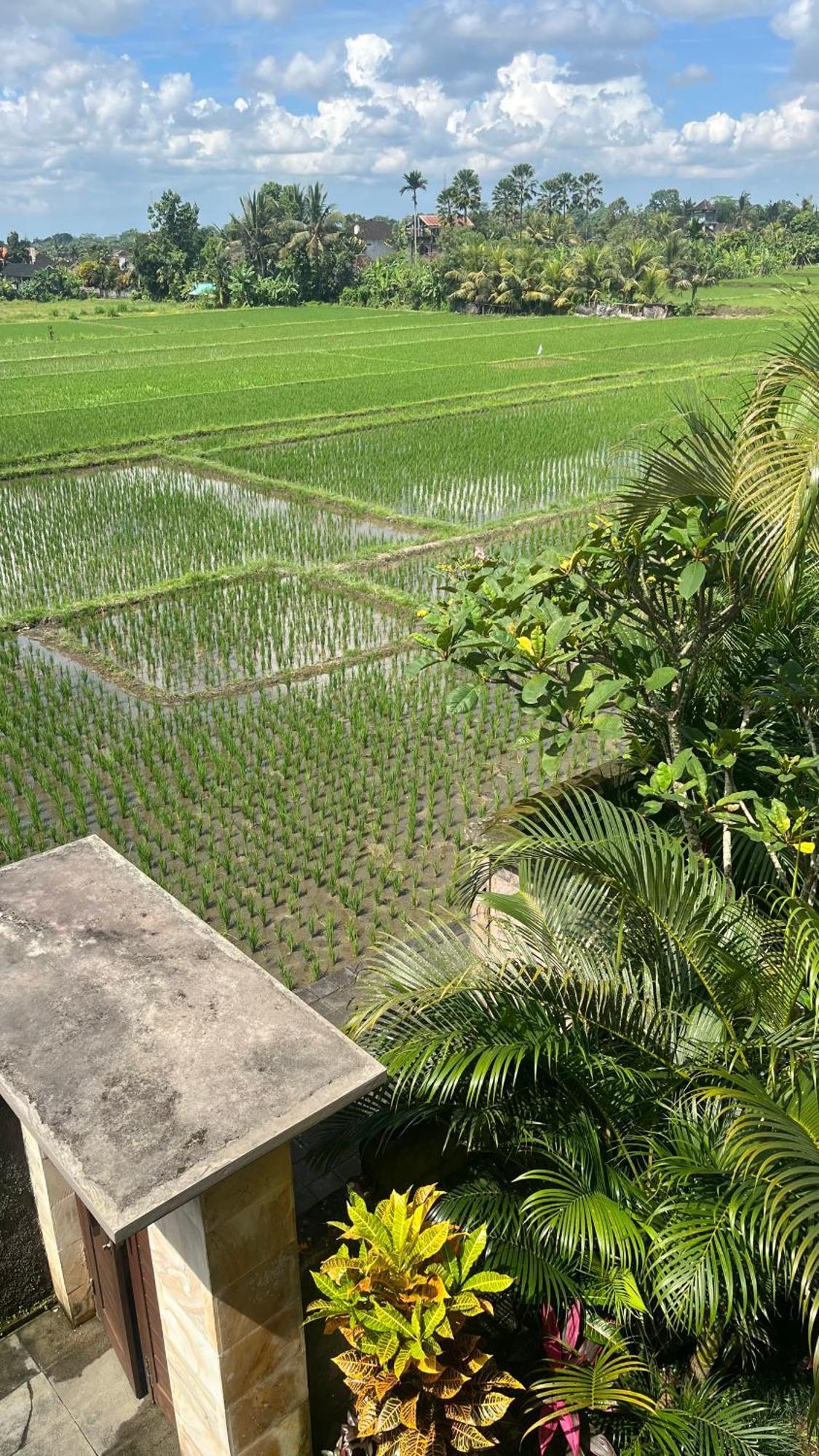 Heaven Villa Ubud (Bali)