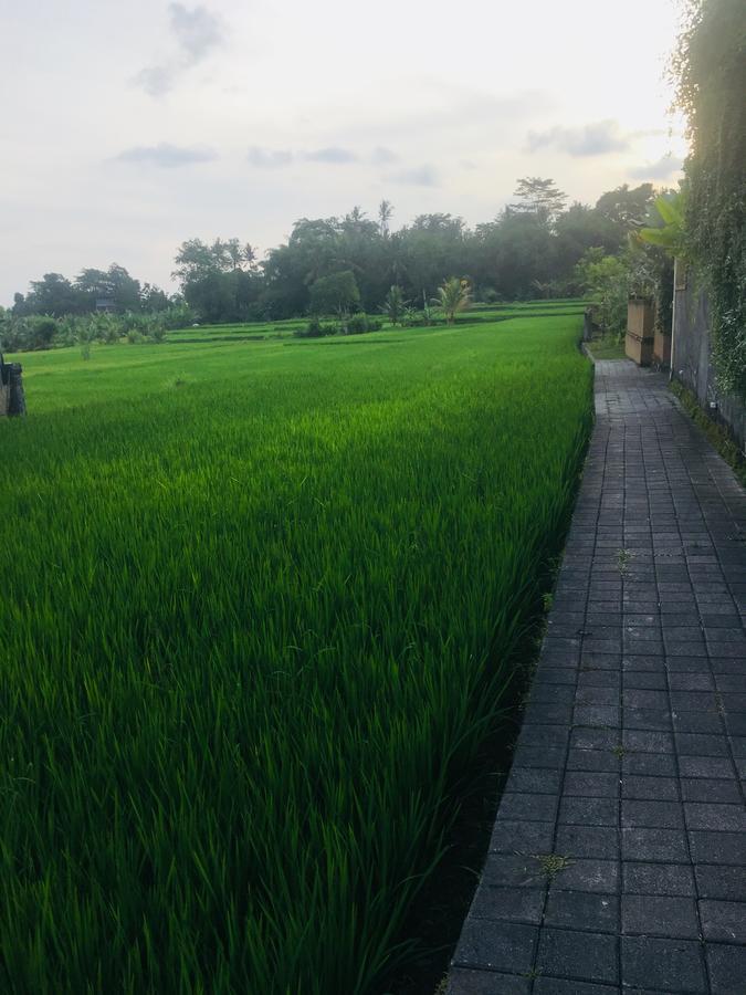 Heaven Villa Ubud (Bali)