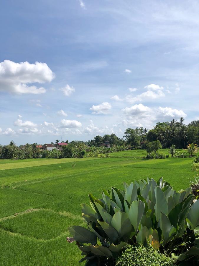Heaven Villa Ubud (Bali)