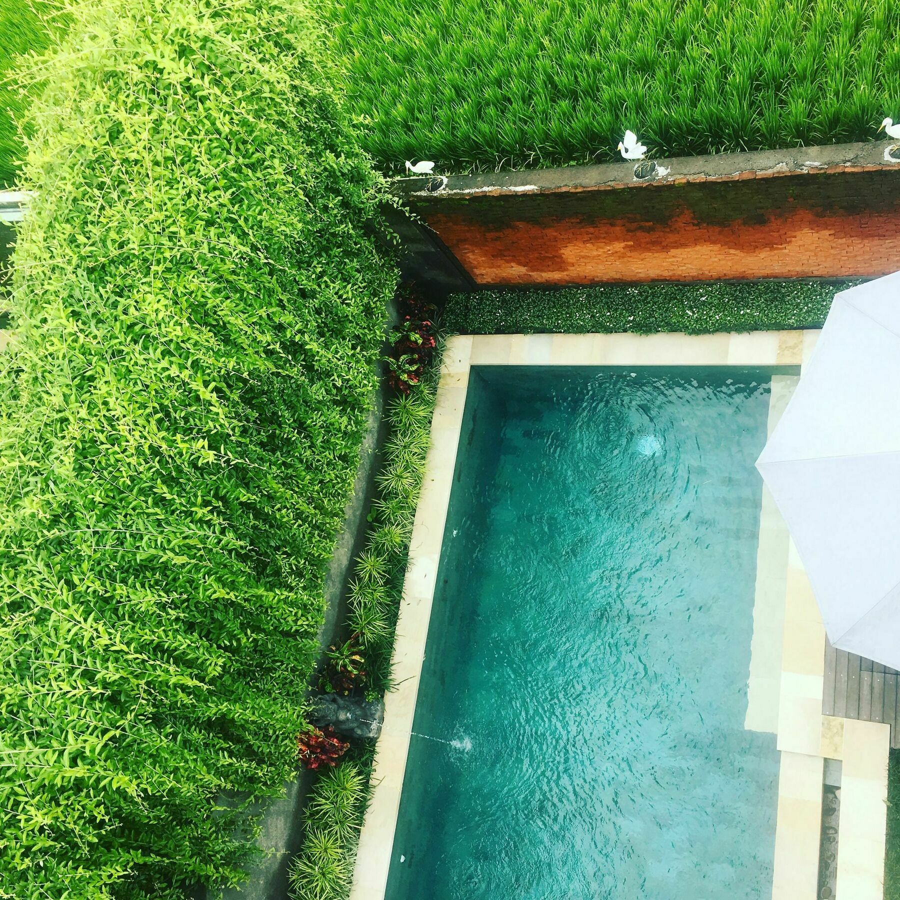 Villa Heaven Ubud (Bali)